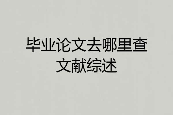 毕业论文去哪里查文献综述