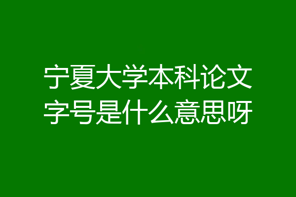 宁夏大学本科论文字号是什么意思呀