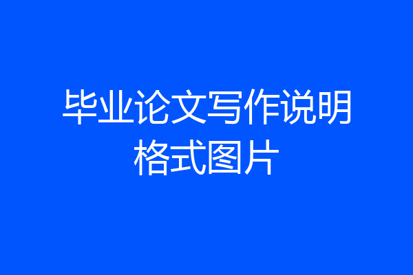 毕业论文写作说明格式图片
