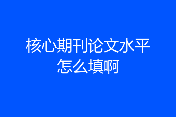 核心期刊论文水平怎么填啊