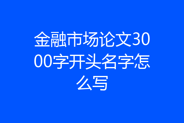 金融市场论文3000字开头名字怎么写