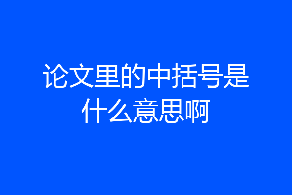 论文里的中括号是什么意思啊