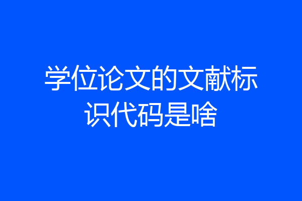 学位论文的文献标识代码是啥