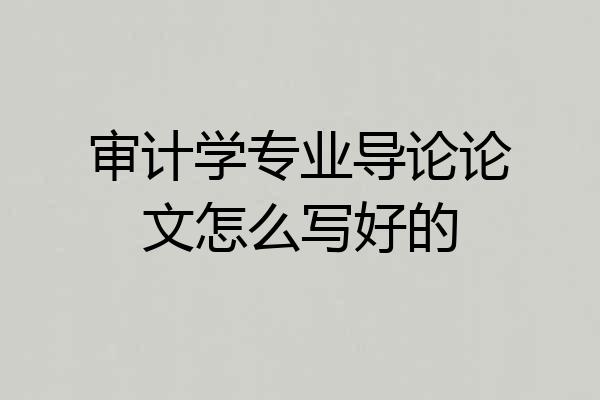 审计学专业导论论文怎么写好的