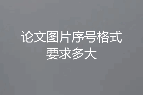 论文图片序号格式要求多大
