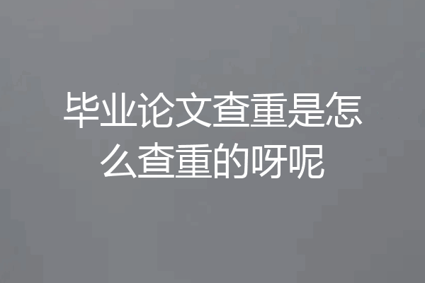 毕业论文查重是怎么查重的呀呢