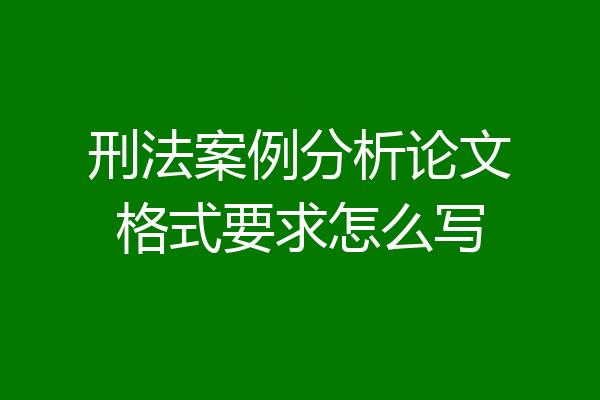 刑法案例分析论文格式要求怎么写