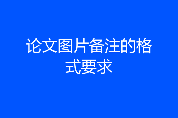 论文图片备注的格式要求