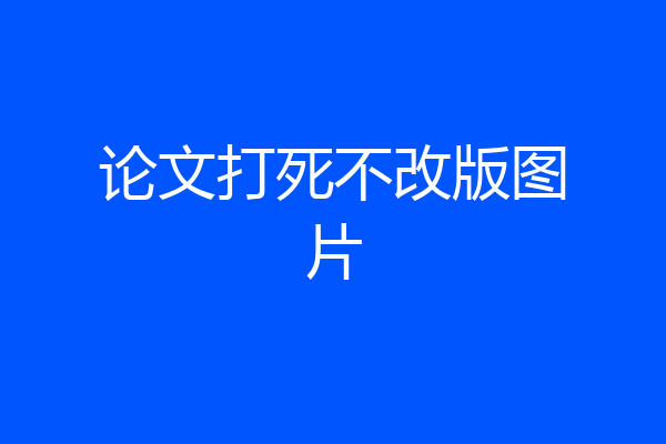 论文打死不改版图片