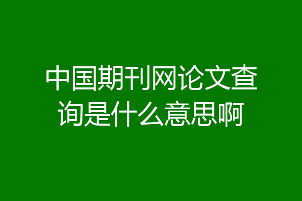 中国期刊网论文查询是什么意思啊