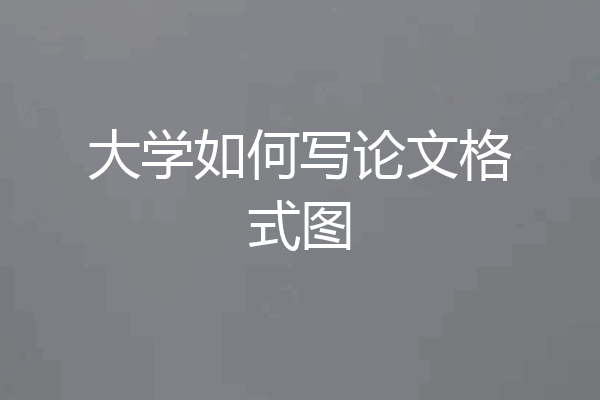 大学如何写论文格式图