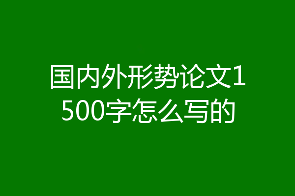 国内外形势论文1500字怎么写的