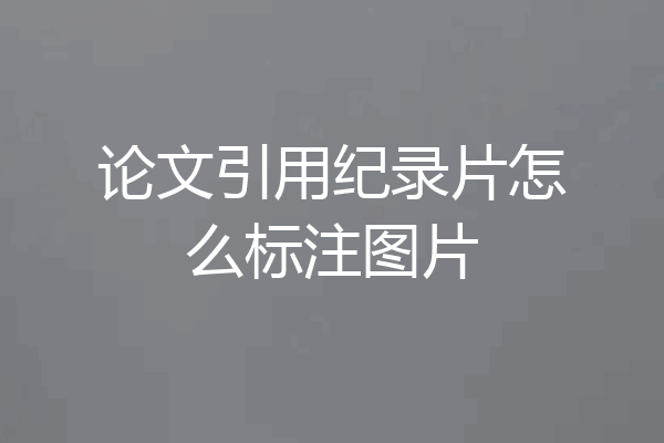 论文引用纪录片怎么标注图片