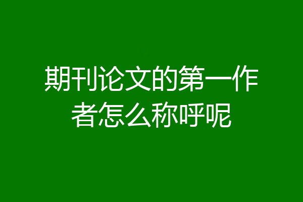 期刊论文的第一作者怎么称呼呢