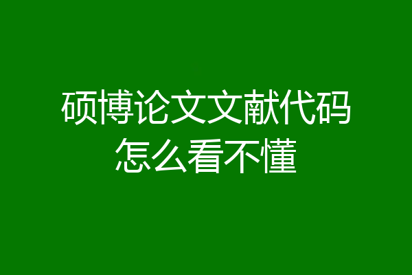 硕博论文文献代码怎么看不懂