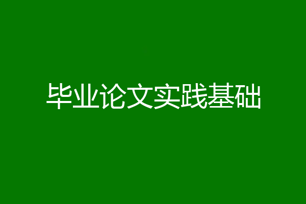 毕业论文实践基础