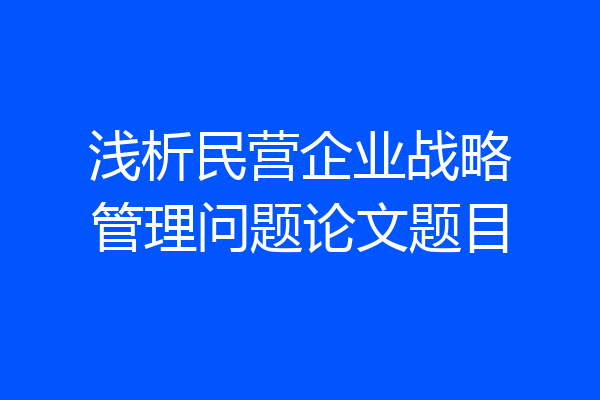 浅析民营企业战略管理问题论文题目