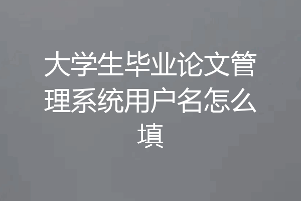 大学生毕业论文管理系统用户名怎么填
