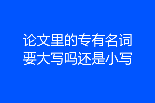 论文里的专有名词要大写吗还是小写