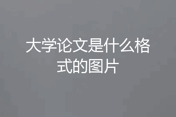 大学论文是什么格式的图片