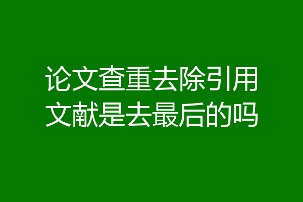 论文查重去除引用文献是去最后的吗