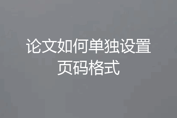 论文如何单独设置页码格式