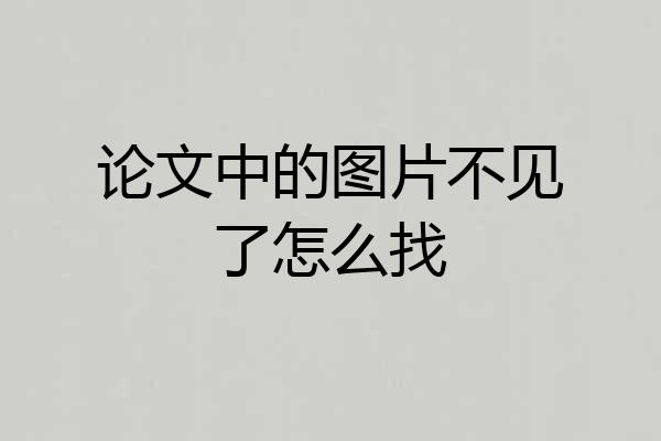 论文中的图片不见了怎么找
