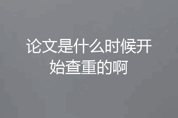 论文是什么时候开始查重的啊