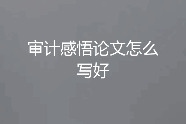 审计感悟论文怎么写好