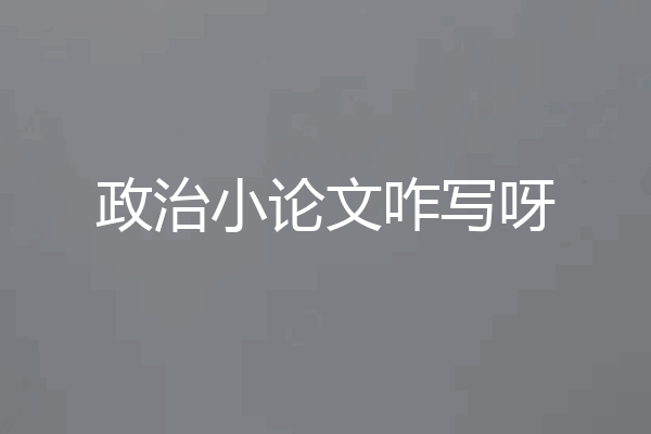 政治小论文咋写呀