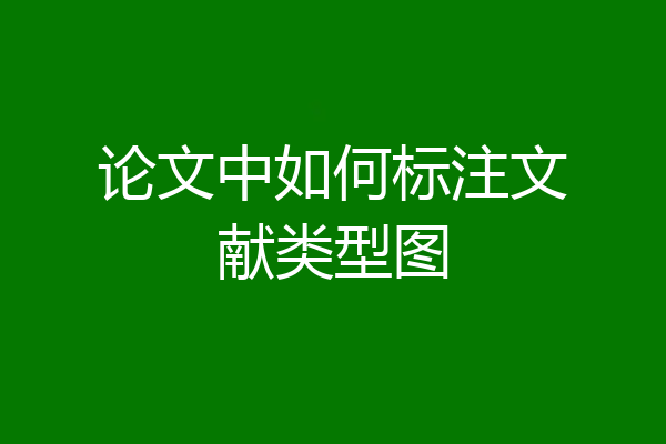 论文中如何标注文献类型图