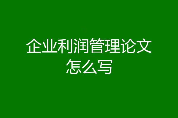 企业利润管理论文怎么写
