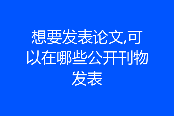 想要发表论文,可以在哪些公开刊物发表