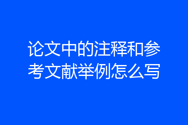 论文中的注释和参考文献举例怎么写