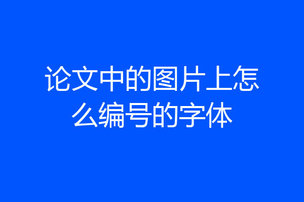 论文中的图片上怎么编号的字体