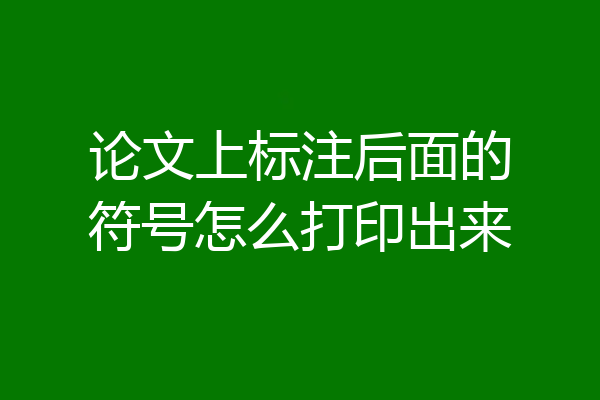 论文上标注后面的符号怎么打印出来