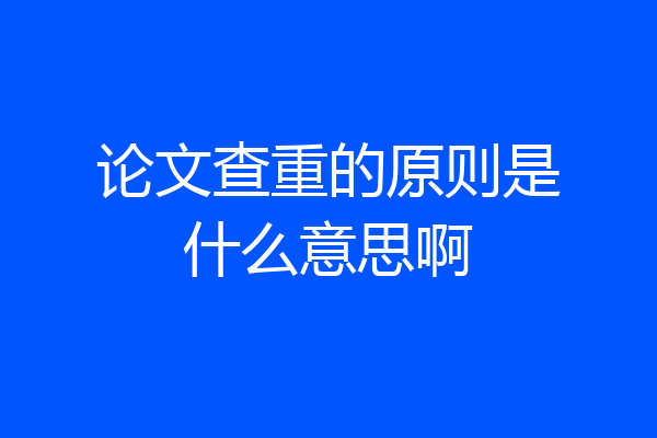 论文查重的原则是什么意思啊