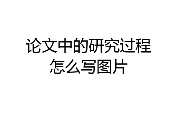 论文中的研究过程怎么写图片