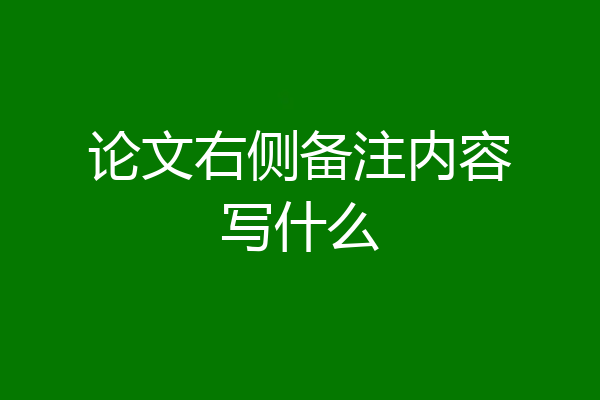 论文右侧备注内容写什么
