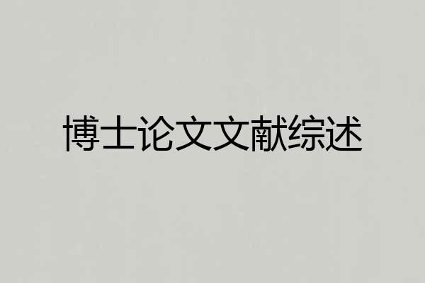 博士论文文献综述