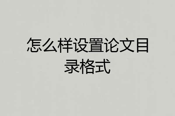 怎么样设置论文目录格式
