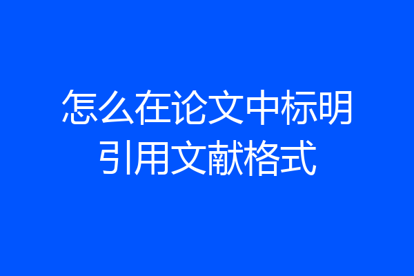 怎么在论文中标明引用文献格式