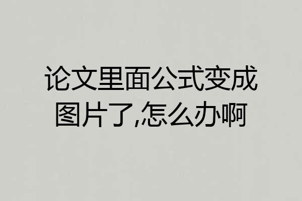 论文里面公式变成图片了,怎么办啊
