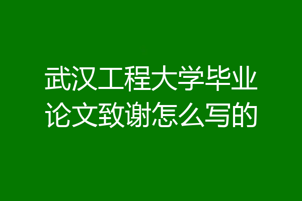 武汉工程大学毕业论文致谢怎么写的