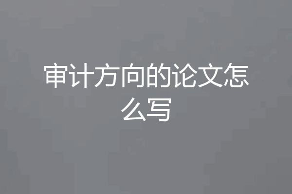 审计方向的论文怎么写
