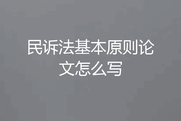 民诉法基本原则论文怎么写