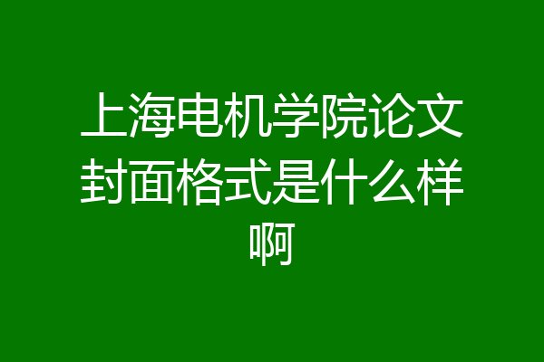 上海电机学院论文封面格式是什么样啊