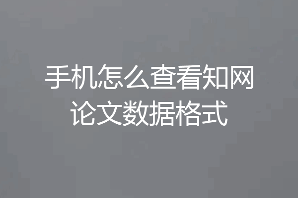 手机怎么查看知网论文数据格式