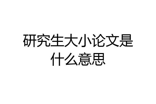 研究生大小论文是什么意思