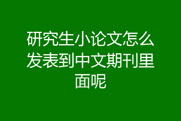 研究生小论文怎么发表到中文期刊里面呢